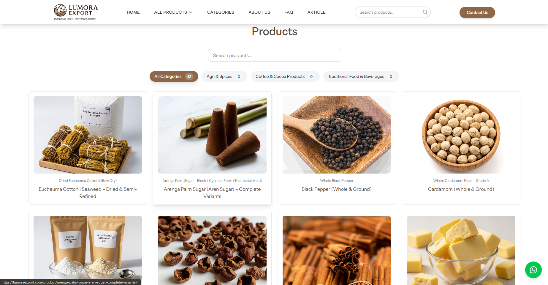 Screenshot of Lumora Export project showing the main interface and features